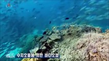 Notícias da Televisão Central da Coreia (10.04.2024)