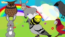 Die Lieder der Tiere Canzone degli animali Zweisprachiges Kinderlied Yleekids
