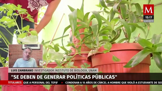 ¿Cuál es la causa principal de la crisis hídrica en México?