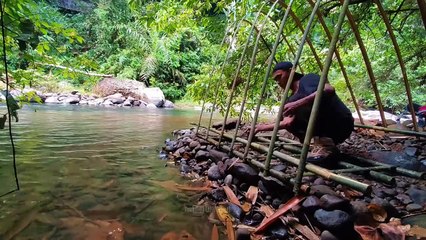 Build a small and comfortable shelter || Solo camping - Bushcraft