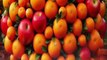 संतरा और सेब को एक साथ हाइब्रिड कैसे करे  /How to hybridize orange and apple together ? / apple