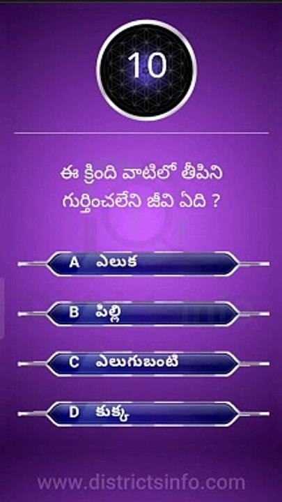 Interesting Questions Telugu