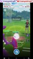 Pokémon GO 253-Rocket Grunt