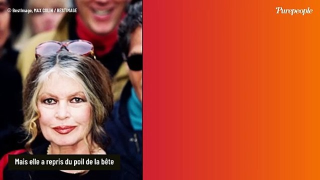 J'ai craqué : Brigitte Bardot, un début d'année difficile et de multiples coups durs