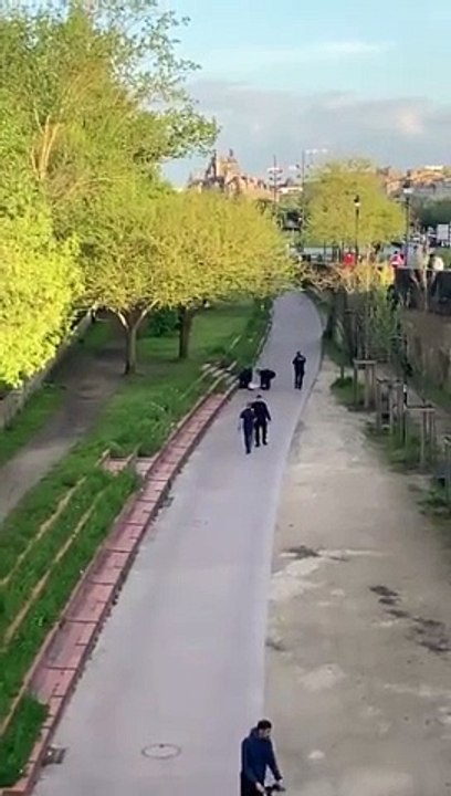 Horreur à Bordeaux : Un Homme Armé d'un Couteau Déchaîne la Terreur, Un Mort et un Grave Blessé Avant Intervention de la Police
