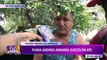 ATE: vecinos denuncian que puma andino está matando sus animales de corral