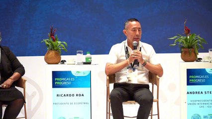 Intervención de Ricardo Roa en la Semana Arpel-Naturgas 2024