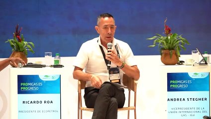 Ricardo Roa habla de los  proyectos de energía rentables en La Guajira