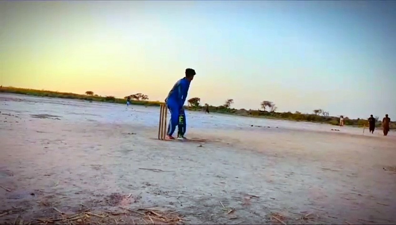 Cricket shot