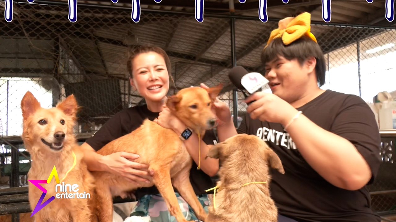 เฮฮาหน้ากอง : บอสซี่ ตามนางฟ้าของน้องหมาน้องแมว...