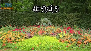 Zikr la ilaha illallah | for relaxing sleep | dhikr Allah | by 786 cuisine