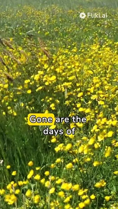 Digital Solutions for Waste Accountability Exploring Waste Weighing Software