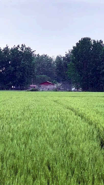 The crowd is too noisy let's go to the country side and ideal
