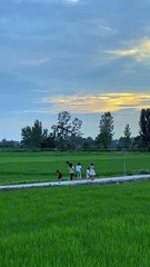 The feeling of being a child suddenly came to my mind