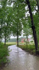 The familiar earthy smell fills the air the rain