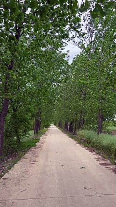Want to walk with you and feel not end the road