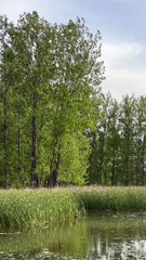 Some people naturally like this kind of atmosphere