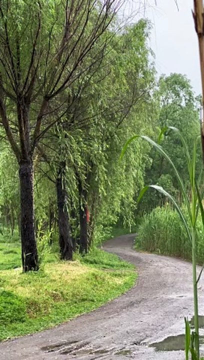 Some people are born to like this feeling