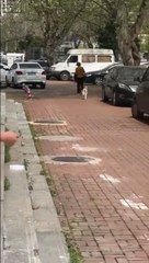 Un chien vraiment très heureux