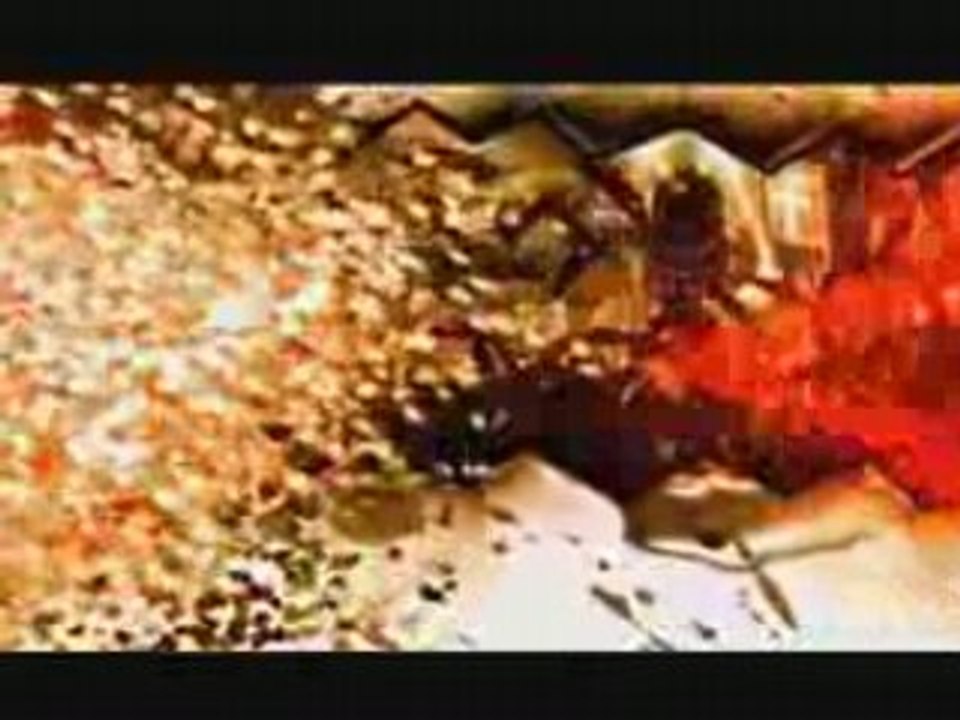 AMV[Pandemonium]Xcite-Vann