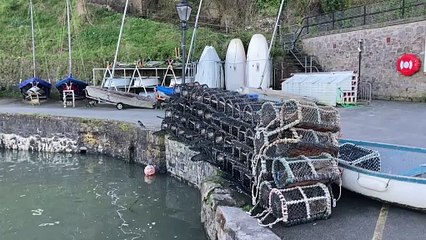 Improvements to Tenby harbour’s sluice sought once again