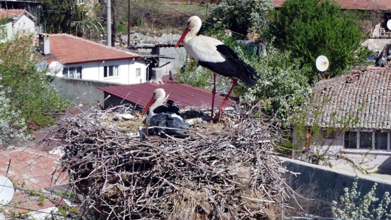 İsmayıl ve Fatme, 20 yıldır 'okullu'