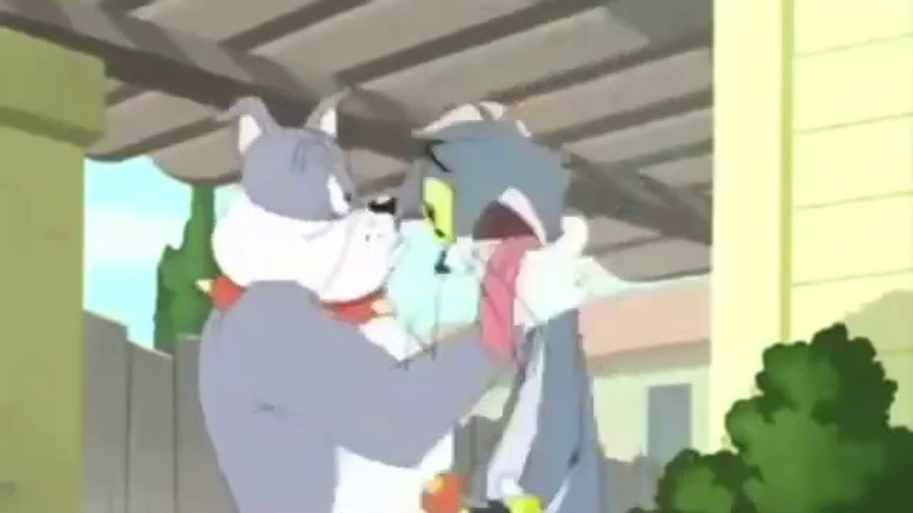 شفا دكتورة
