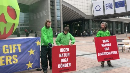 Greenpeace dépose une pomme géante empoisonnée devant le Parlement européen