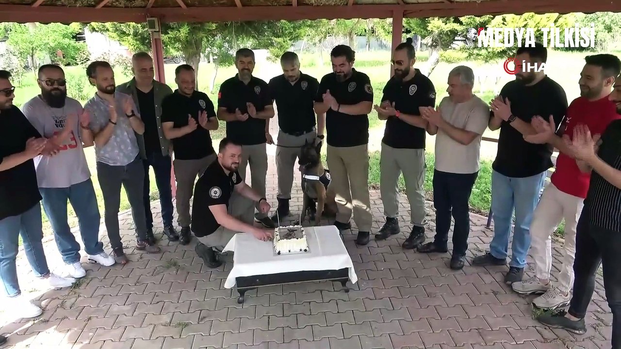Narkotik Köpeği Hulk'un 7'nci Yaş Günü Pasta Kesildi!