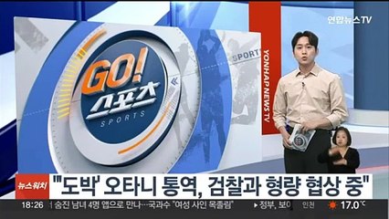 "오타니 전 통역사, 검찰과 형량 협상 중"