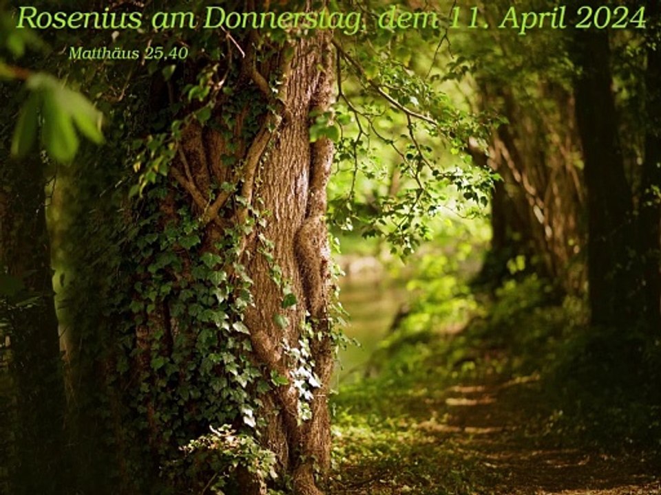 Rosenius am Donnerstag, dem 11. April 2024