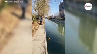 Watch: Man makes makeshift fishing net when he sees what's struggling in the water