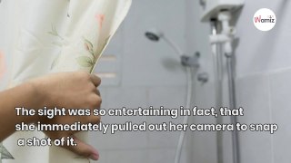Man screams for help in the bathroom: When his wife comes running, she is shocked