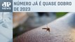 Brasil supera 3 milhões de casos prováveis de dengue em 2024