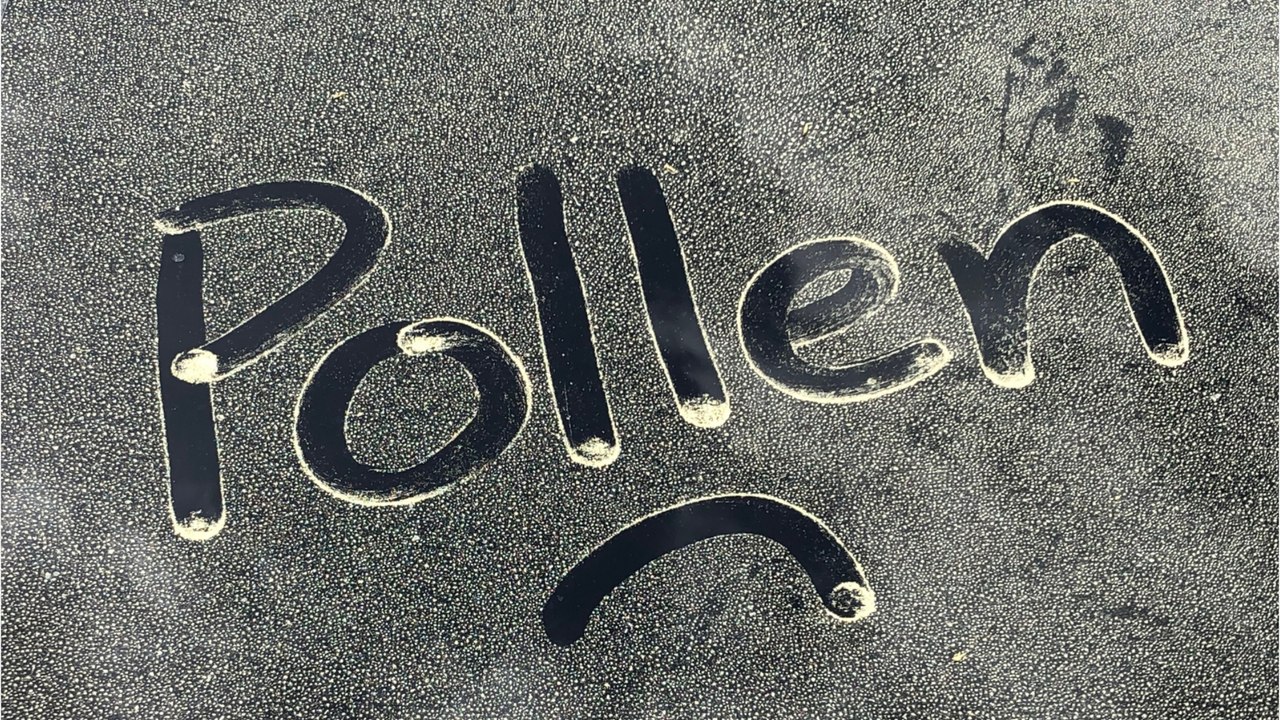 Endlich wieder freie sicht: ab diesem zeitpunkt macht es sinn, fenster vom blütenstaub zu befreien