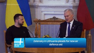 Zelensky in Lithuania pleads for new air defence aid