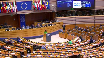 "Von Russland bezahlt": EU will russische Einflussnahme vor den Europawahlen stoppen