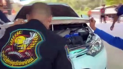 Tayland'da 16 kilogram ağırlığında en zehirli tür olan 'kral kobra' yılanı bulundu