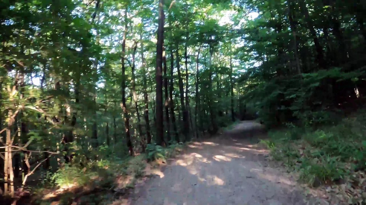 MTB Schottenhof-Strecke Wien komplett (Teil 3)