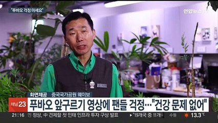 "푸바오 구르는 모습 걱정 안 해도"…강철원 사육사의 중국 이송 뒷얘기