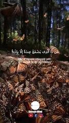 Ayatul Kursi Full - Beautiful Recitation