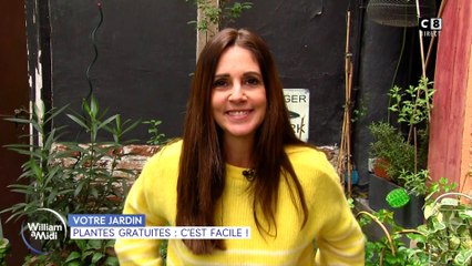 Votre jardin : plantes gratuites, c'est facile !