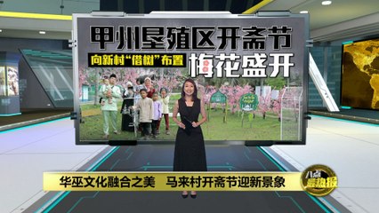 马六甲乌丹必加垦殖区打造粉色梅花开斋节打卡新景点 🌸