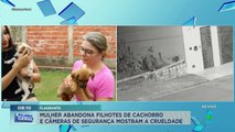 Mulher abandona filhotes de cachorro no interior de SP e é flagrada por câmeras de segurança