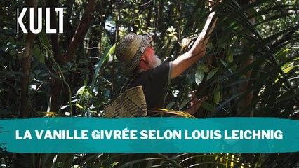 La vanille givrée selon Louis Leichnig