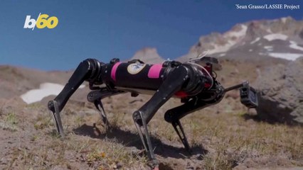 Robot Dogs in Space? Oregon Researchers Test 'Spirit' on Mount Hood 🚀