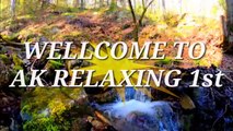 Ambience Sound Effects | forest ambience sound,| -3_720p