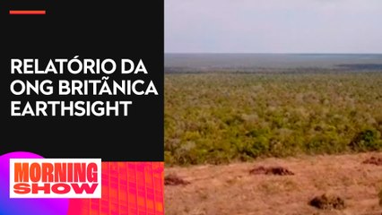 H&M e Zara são acusadas de desmatamento no Brasil