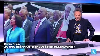 Botswana : 20 000 éléphants envoyés en Allemagne ?