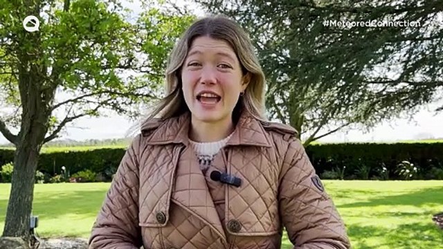 Drier and feeling warmer: Is this spring at last?